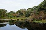 Dcim7246/DSC_6533