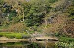 Dcim7246/DSC_6535