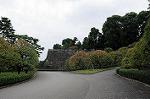 Dcim7247/DSC_6566