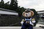Dcim7247/DSC_6625