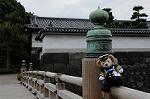 Dcim7247/DSC_6627
