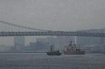 Dcim7249/DSC_6859