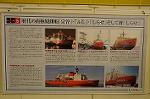 Dcim7249/DSC_6876