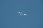 Dcim7250/DSC_2539