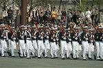 Dcim7251/DSC_2646