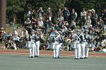 Dcim7251/DSC_2650