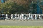 Dcim7251/DSC_2713