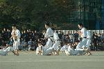 Dcim7251/DSC_2719