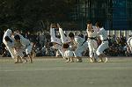 Dcim7251/DSC_2724