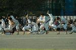 Dcim7251/DSC_2725