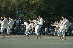 Dcim7251/DSC_2734