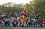 Dcim7251/DSC_2763