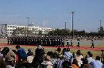 Dcim7252/DSC_6933