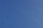 Dcim7252/DSC_6968