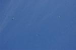 Dcim7252/DSC_6969