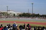 Dcim7253/DSC_7009