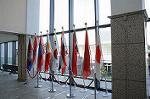 Dcim7254/DSC_7158
