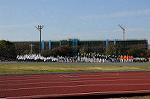 Dcim7254/DSC_7238