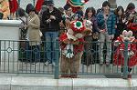 Dcim7255/DSC_2842