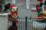 Dcim7255/DSC_2874