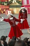 Dcim7256/DSC_2978