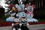 Dcim7258/DSC_7351