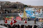 Dcim7258/DSC_7387