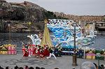 Dcim7258/DSC_7403
