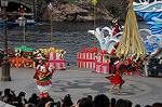 Dcim7259/DSC_7428