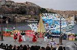 Dcim7259/DSC_7446