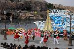 Dcim7259/DSC_7464