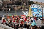 Dcim7259/DSC_7525