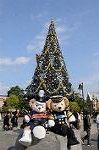 Dcim7260/DSC_7652