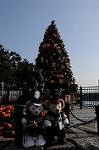 Dcim7261/DSC_7774