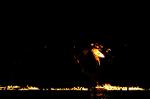 Dcim7267/DSC_8555