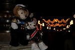Dcim7269/DSC_8933