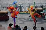 Dcim7278/DSC_9551