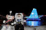 Dcim7281/DSC_9884