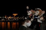 Dcim7283/DSC_0279