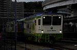 Dcim7294/DSC_1542