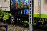 Dcim7294/DSC_1555