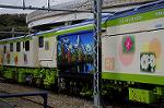 Dcim7294/DSC_1563