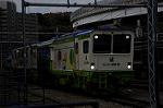 Dcim7294/DSC_1569