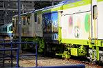 Dcim7294/DSC_1584