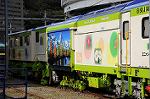 Dcim7294/DSC_1592
