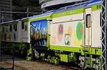 Dcim7294/DSC_1593