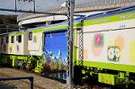 Dcim7294/DSC_1618