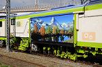 Dcim7294/DSC_1631