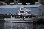 Dcim7298/DSC_2072