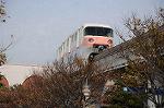 Dcim7302/DSC_2218